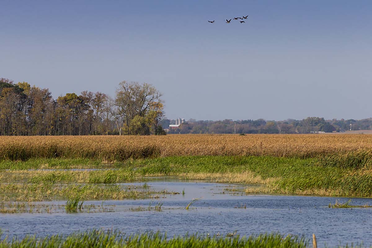 $10.7 Million Awarded For Great Lakes Conservation 